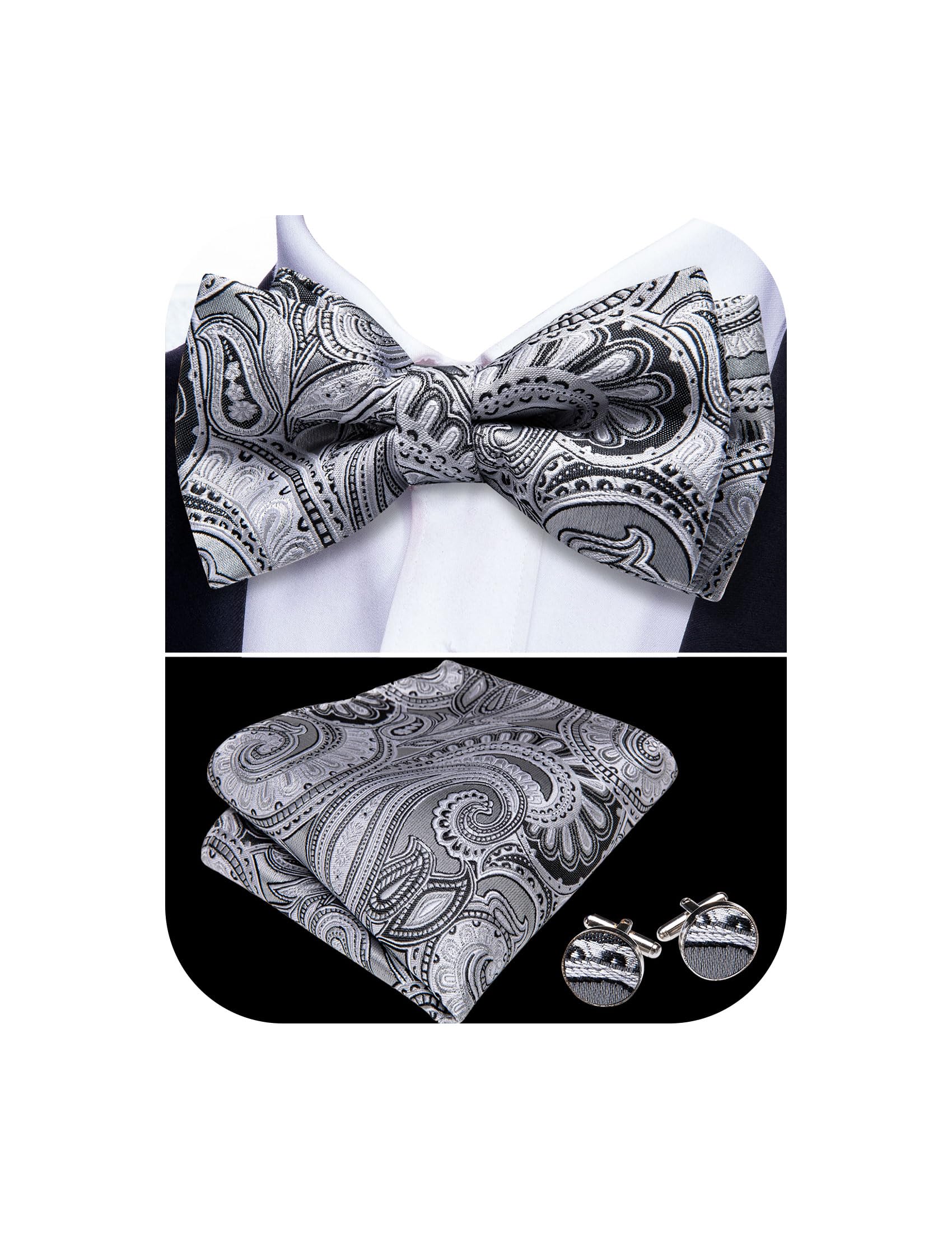 Barry.Wang Paisley Striped Bow Tie for Men Silk Pre-Tied Bowtie Set