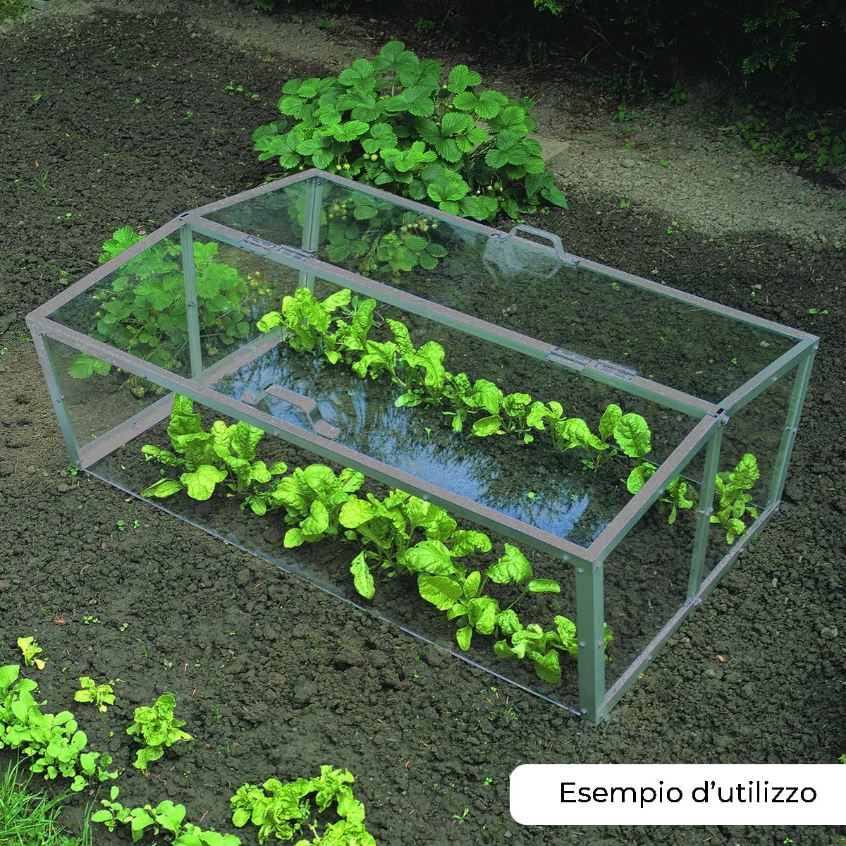 Tubo Quadrato in Ferro Grezzo 45x45x2 mm - Spessore 2 mm - 1 mt / 1000 mm - Made in Italy