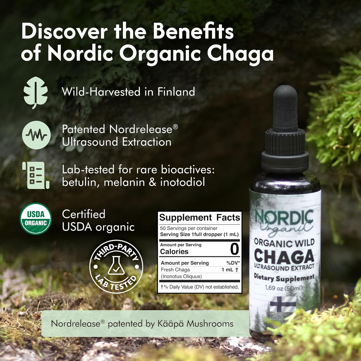 Chaga Organic Mushroom Extract - Next-Gen Ultrasound Extraction, Wild Harvested in Arctic Finland, 100% Fruiting Body, Ultra Potent Tincture for Immune, DNA & Gut Health Support, USDA Certified, 50ml - Image 2