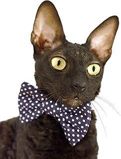 Kotomoda CAT WEAR Bow tie Navi Blue (21cm)