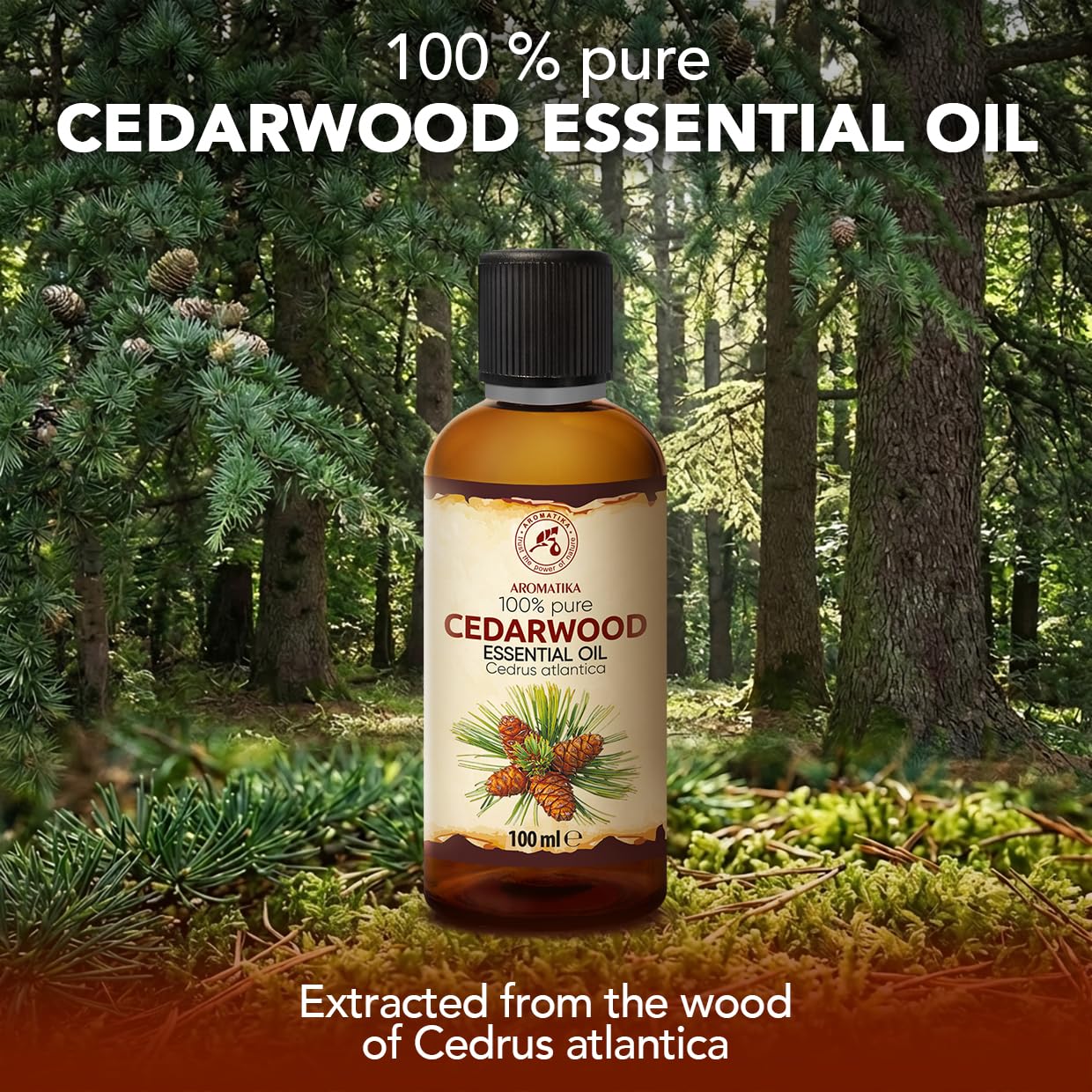 Olejek Eteryczny z Drewna Cedrowego 100 ml - Cedrus Atlantica - Olejek Aromatyczny do Dyfuzora - Aromaterapia - Świece Zapachowe - Mydła - Odświeżanie Powietrza