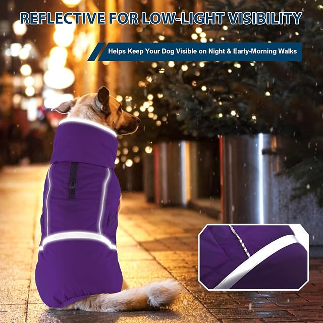 Foto 5 de 7 de Dogcheer Abrigo cálido para perro, chaqueta impermeable con forro polar con