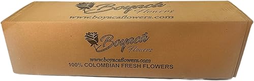 Miniatura 8 de Flores de Boyaca 24 tallo, rosa amarilla con jarrón, granja fresca, tallo largo 19.7 in, flores frescas cortadas al por mayor directa de la granja.