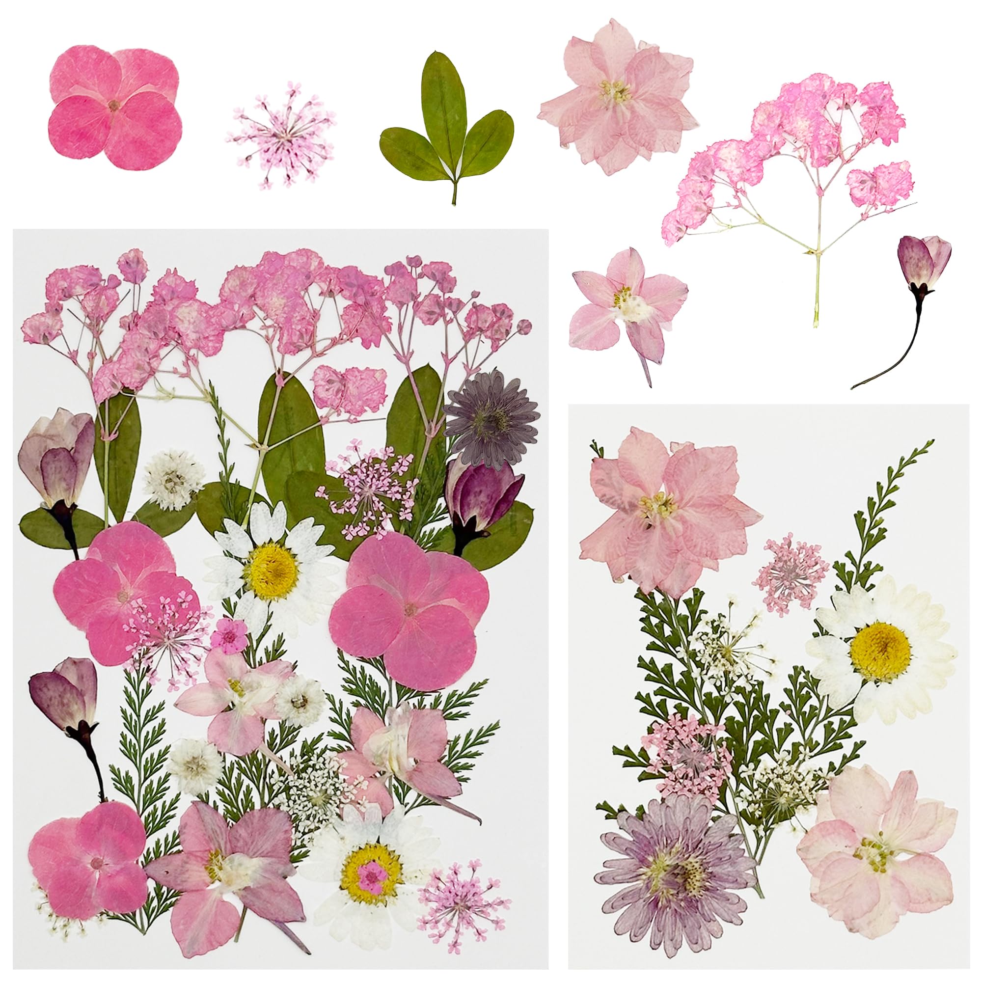 Cayway 40 PCS Natural Dried Pressed Flowers, Pink Natural Dried Pressed Leaves