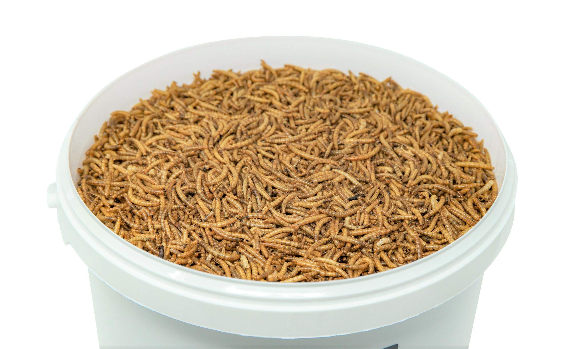 Mr. Mehlwurm 10 Liter getrocknete Mehlwürmer im Eimer (ca. 1,6 kg)- getrocknete Insekten - Top Premium Qualität, GRATIS Versand mit DHL - Futter Snack