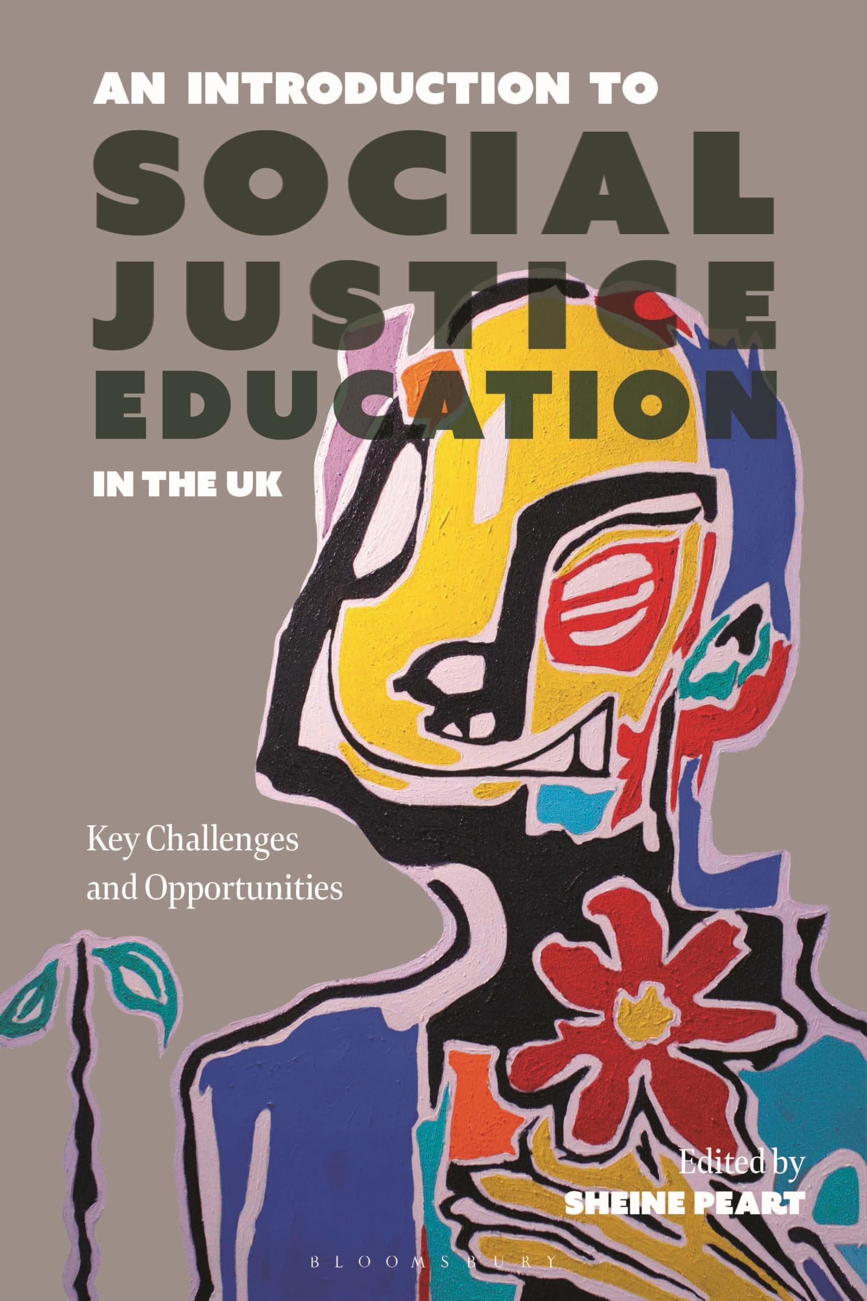 An Introduction to Social Justice Education in the UK (Paperback Book)