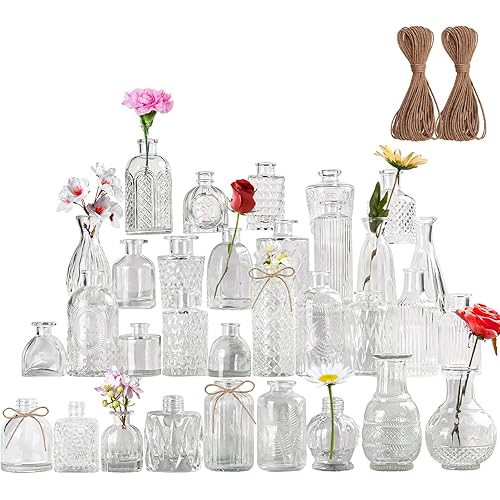 Wookgreat Glass Bud Vase, Set of 32 Pcs Small Clear Glass Vases in Bulk, Vintage Vases for Centerpieces, Mini Glass Vase Assorted for Rustic Wedding, Home Table Decorations-Hemp Rope Included
