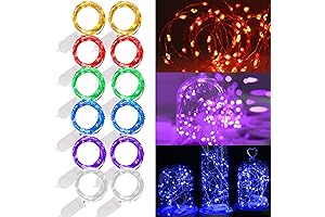WATERGLIDE Fairy Lights for Mason Jars Decor, Multicolor