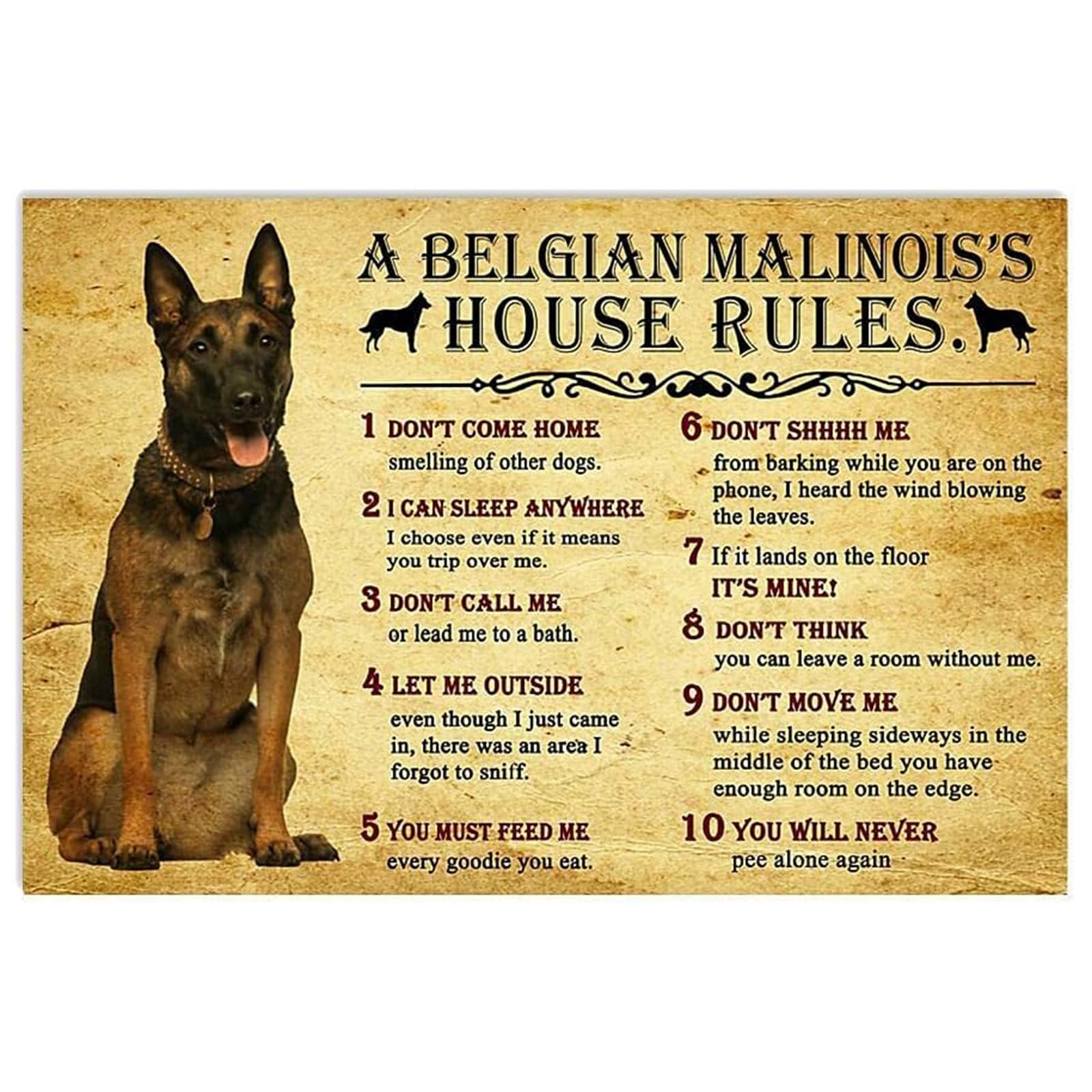 SMAZDFXX Metal Sign House Rules by Belgian Malinois Dog Rules Funny for Family Decor Retro Metal Tin Sign Vintage Aluminum Sign for Home Coffee Wall Decor 8"x12"