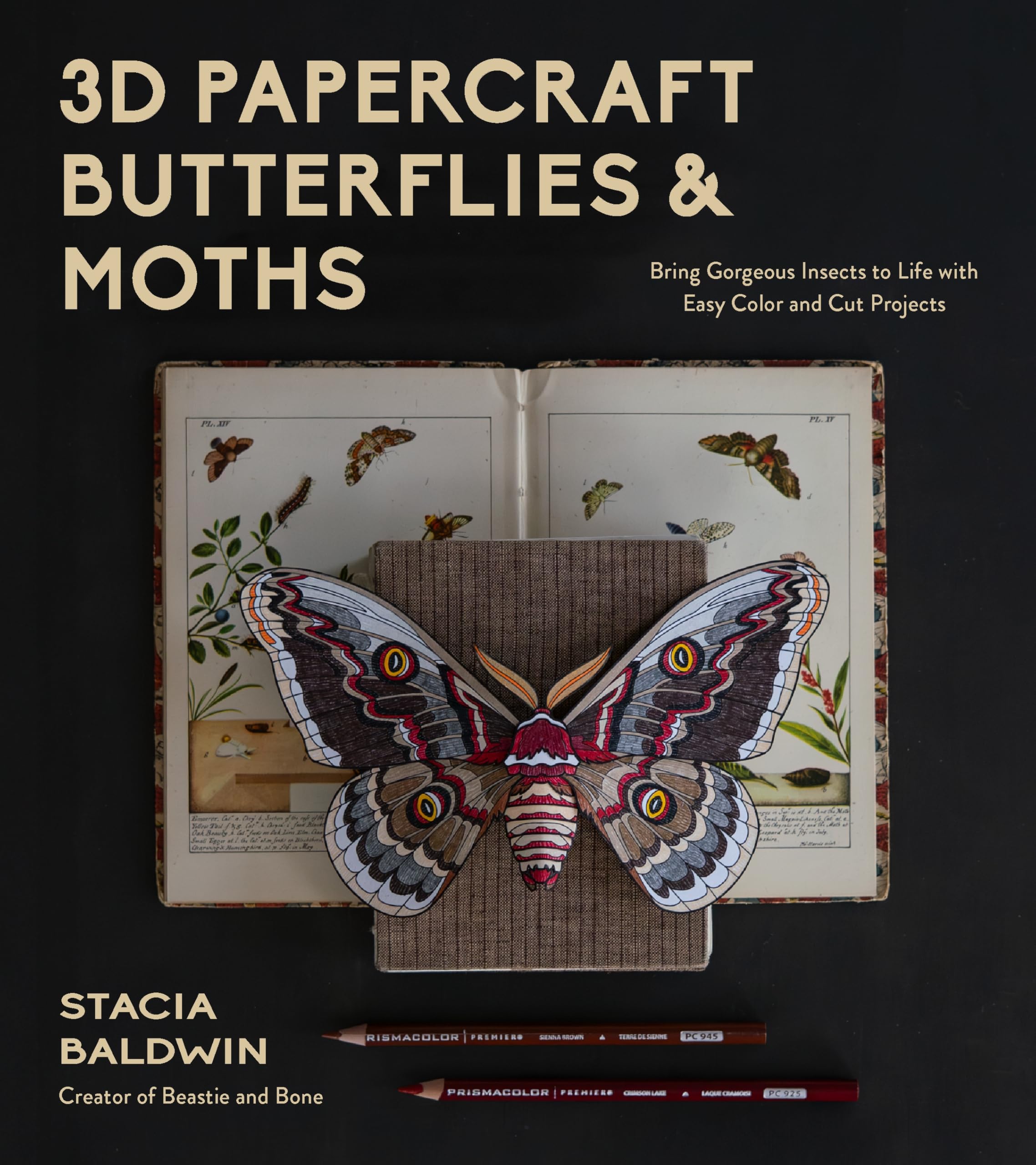 3D Papercraft Insects: Bring Gorgeous Butterflies and Moths to Life with Easy Color and Cut Projects