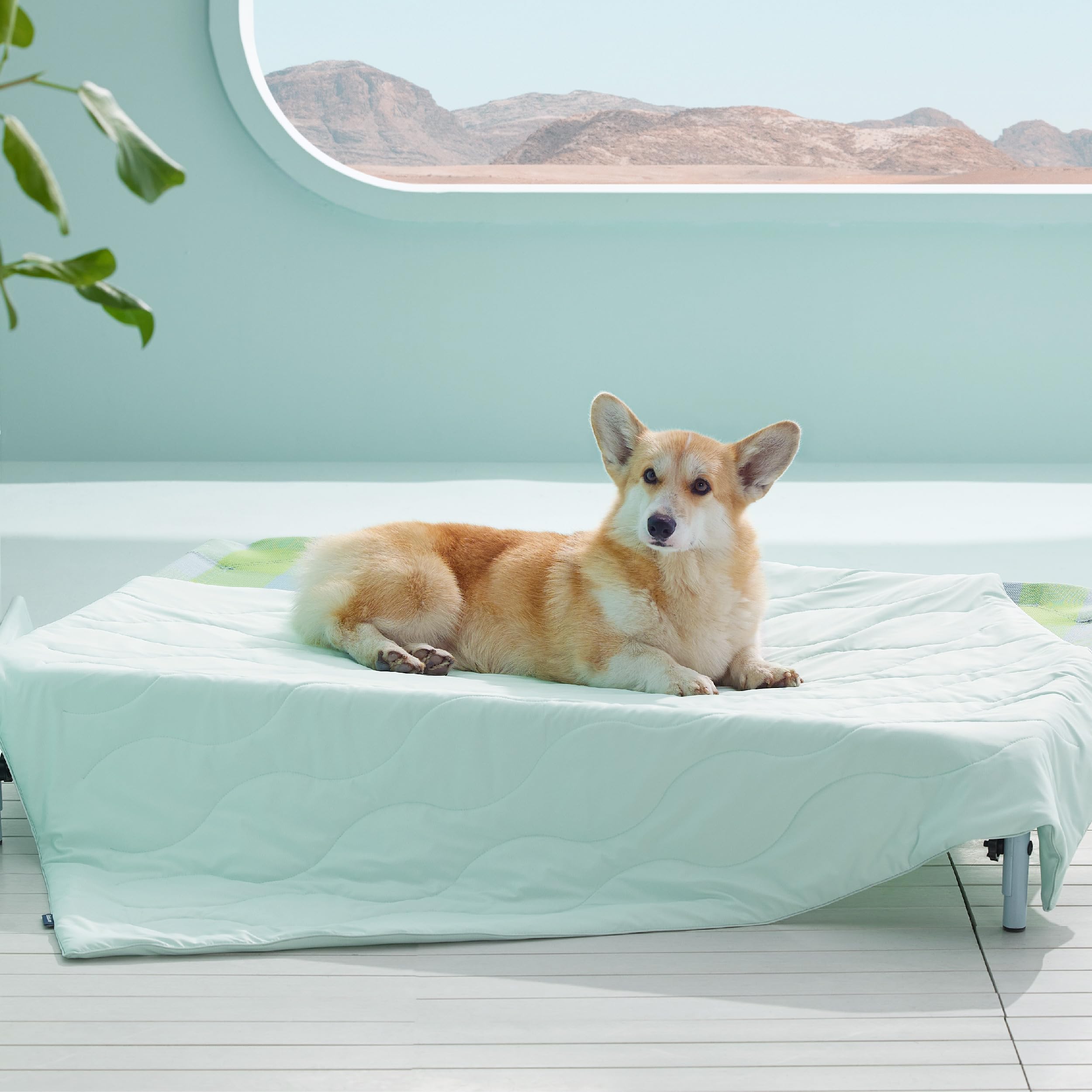 Bedsure Premium Cooling Blanket for Large Dog - Q-MAX>0.5, Breathable Summer Washable Cold Pet Mat, Soft Durable Self Cooling Dog Mat for Hot Weather, Turquoise Green, 40x50