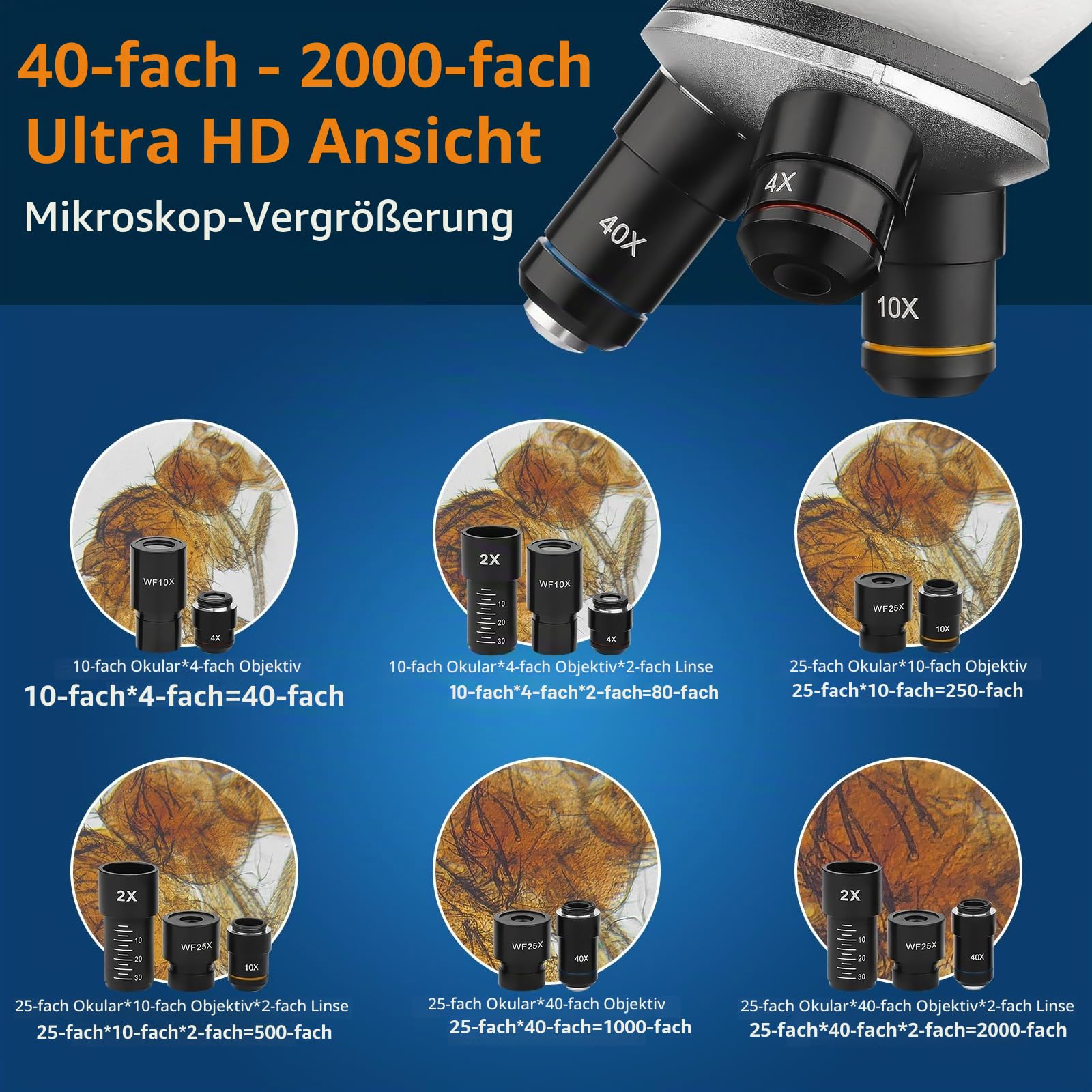 BEBANG Mikroskop für Kinder Studenten Erwachsene 40–2000x Vergrößerung Professionelle Biologische Mikroskope,LED-Beleuchtung bildungstechnisches Mikroskop mit Kits,15 Dias für Labor-Klasse Studie