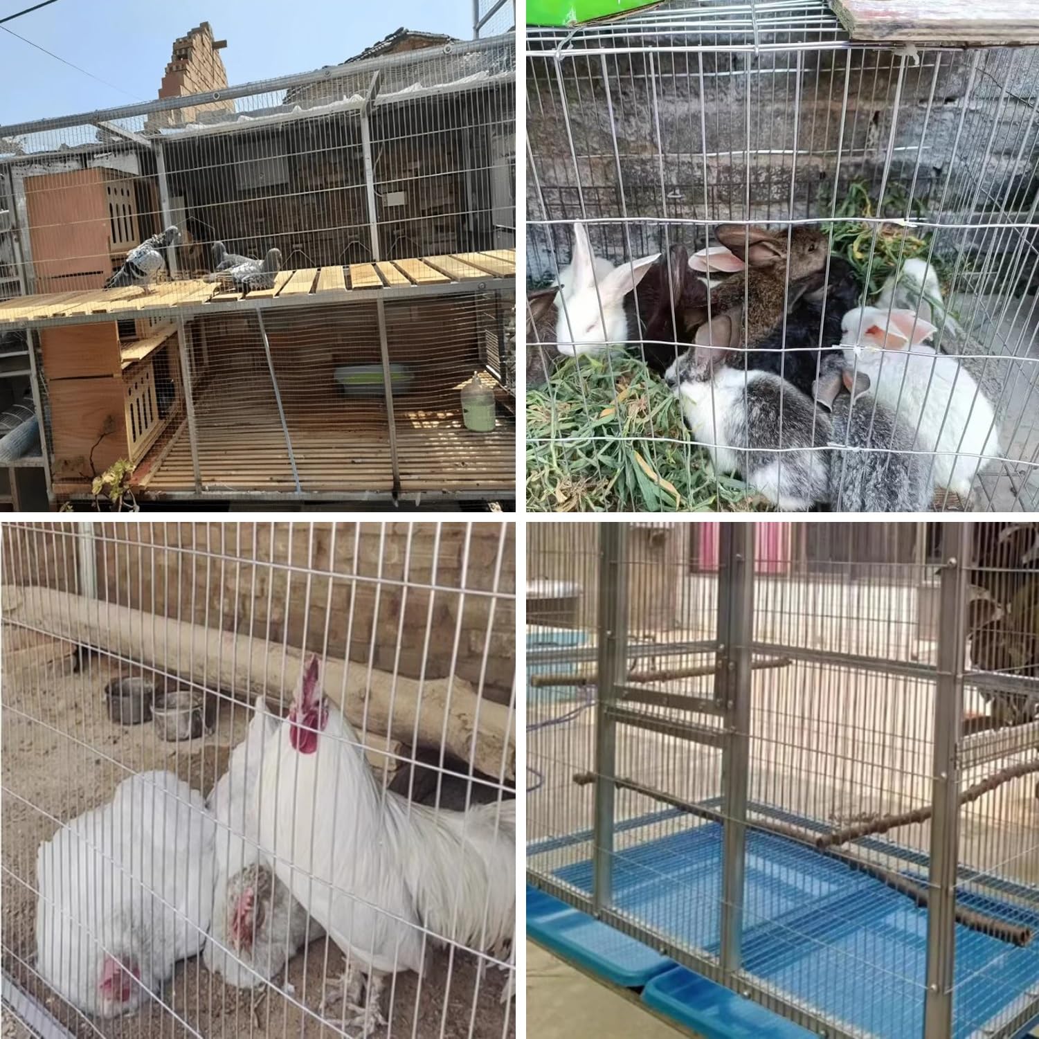 Malla De Alambre Para Aviario, Malla De 1x10cm, Malla Electrosoldada Galvanizada Malla Soldada Para Construir Un Gallinero Para Palomas, Loros, Conejos Y Gallinas(0.6x16m)