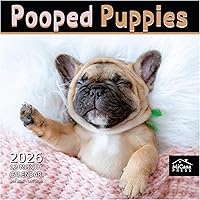 Vista 96 de MICASA PRESS Corgi Butts - Calendario de pared 2026 de 12 meses 12 x 24 pulgadas abierto Papel grueso y resistente Regalo de vacaciones