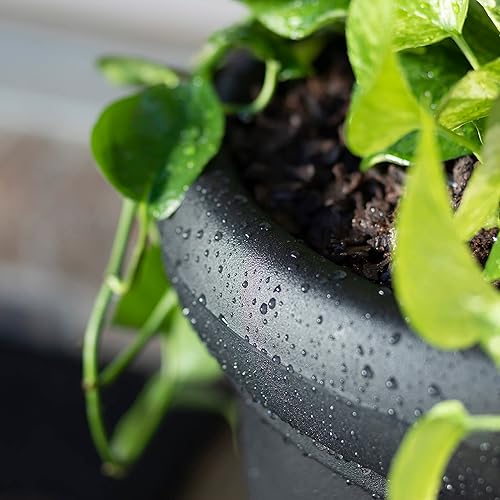 Miniatura 11 de Step2 Claremont - Macetero redondo alto, macetas grandes para plantas al aire libre, jardinería y maceta para patio o porche, drenaje eficiente