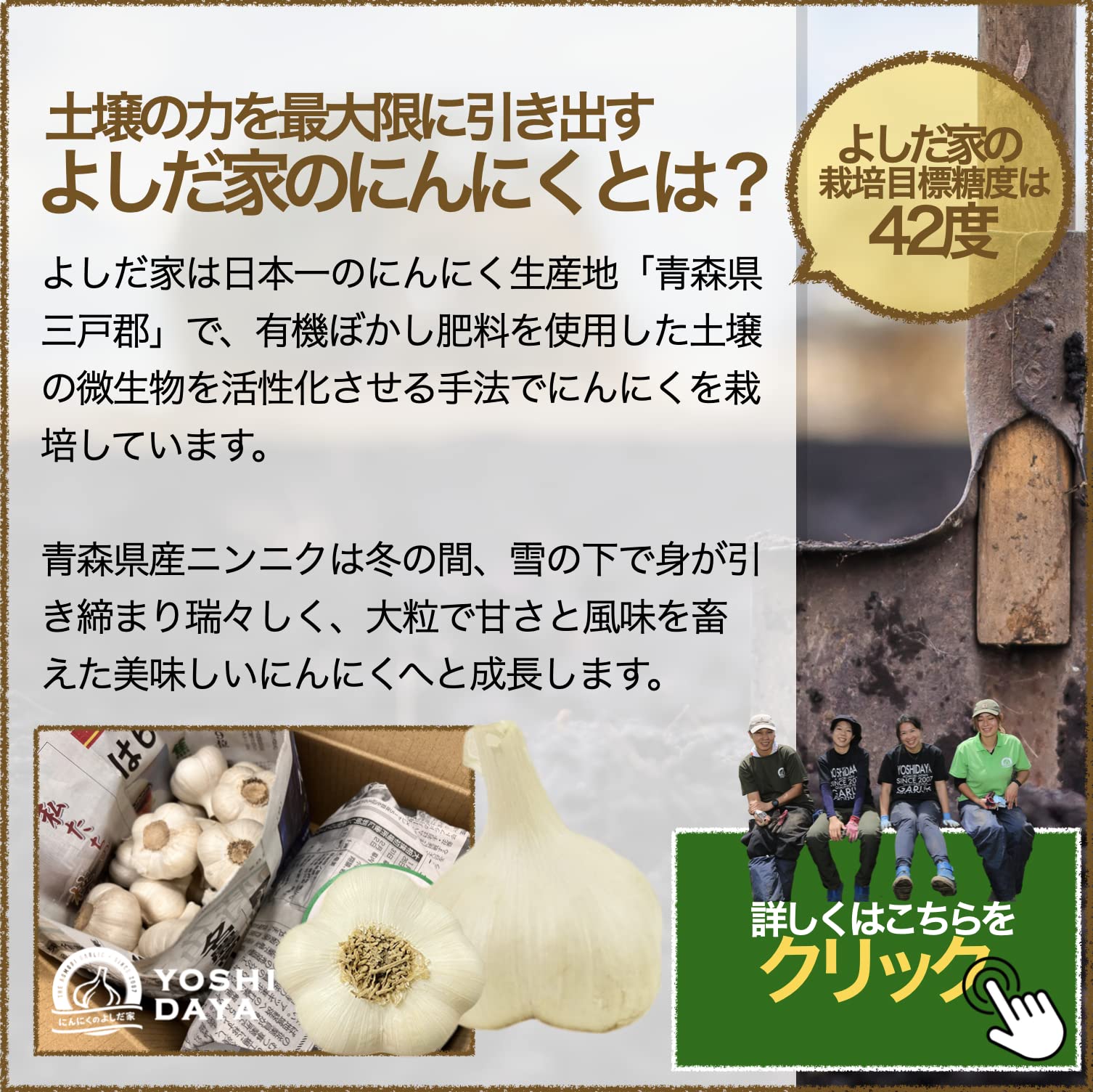 Amazon.co.jp: 青森県産にんにく 最高級品種 青森県産 福地ホワイト六