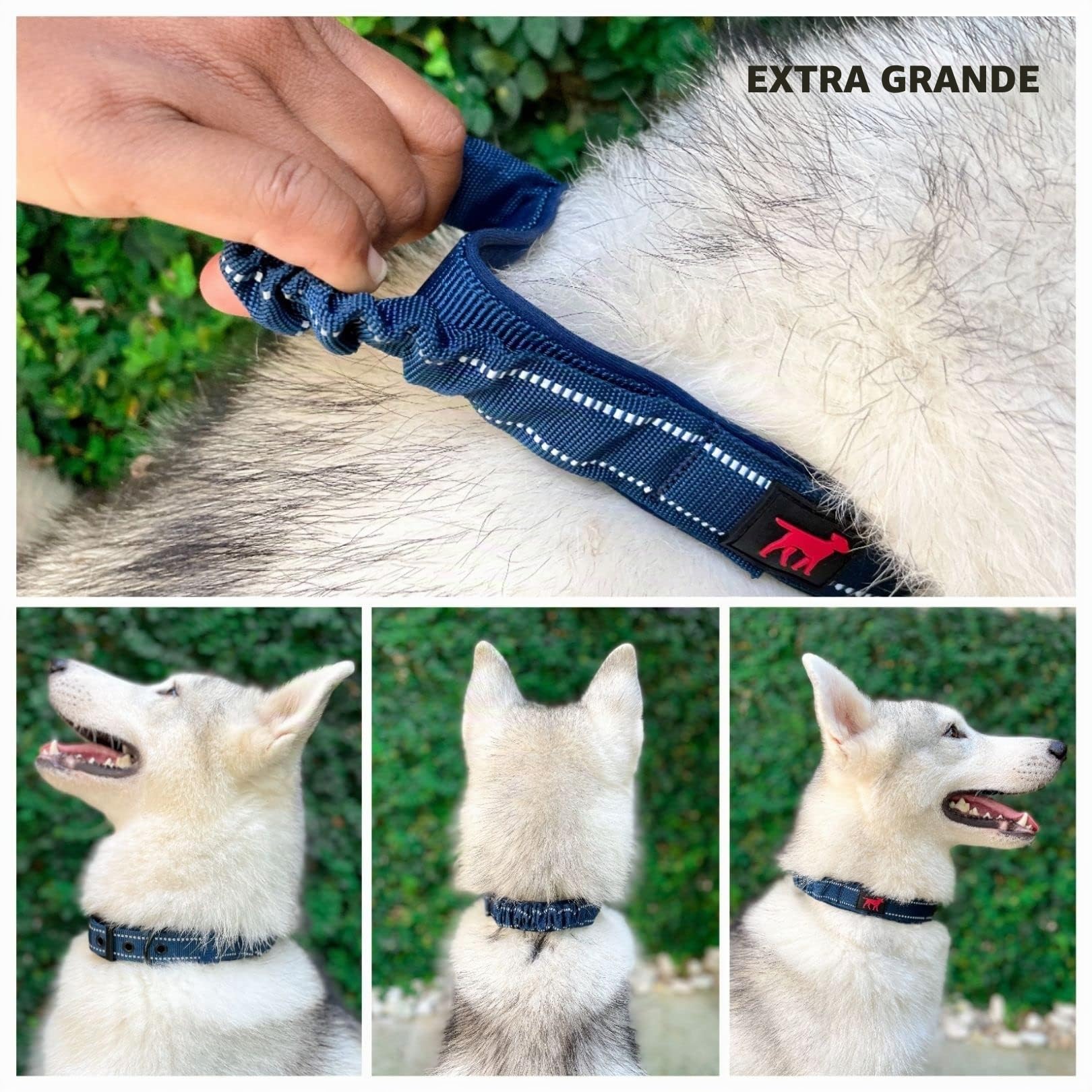 Tuff Pupper Collar de perro resistente con asa, collar de nailon balístico resistente, collar reflectante acolchado con herrajes de acero inoxidable ajustables, tamaño conveniente para todas las razas