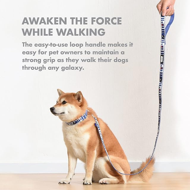 Foto 3 de 6 de Star Wars for Pets R2D2 Droid - Correa de 6 pies