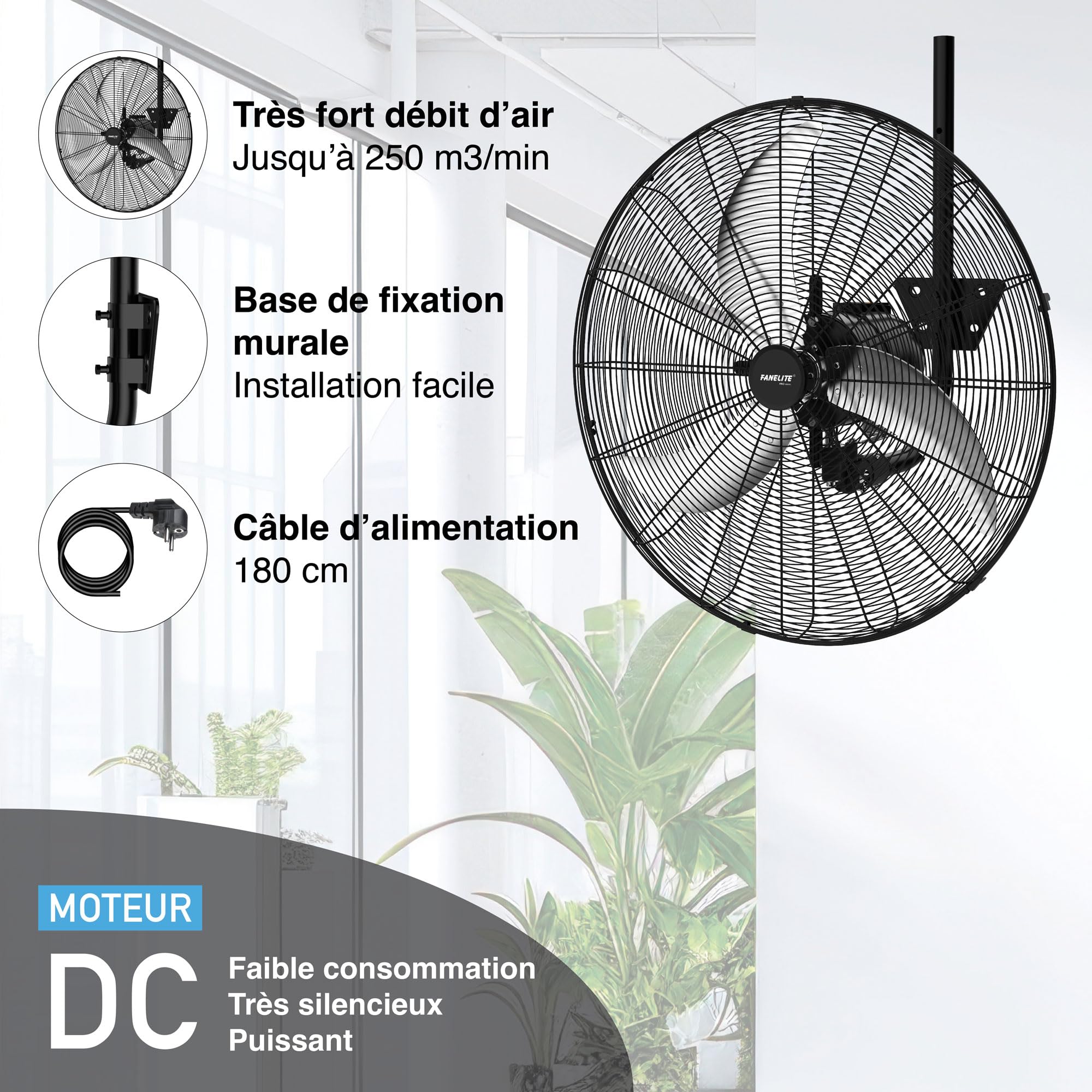 Fanelite Ventilateur mural professionnel FW65-DC – 65 cm – Moteur DC silencieux – Débit d’air 250 m³/min – 6 vitesses – Télécommande – Puissant – Usage pro/commercial