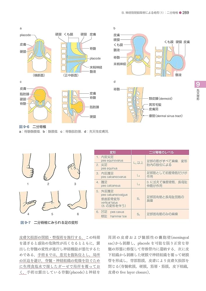 標準脳神経外科学 第15版 (STANDARD TEXTBOOK) 標準脳神経外科学 第15版 (STANDARD TEXTBOOK) | 新井 一 |本