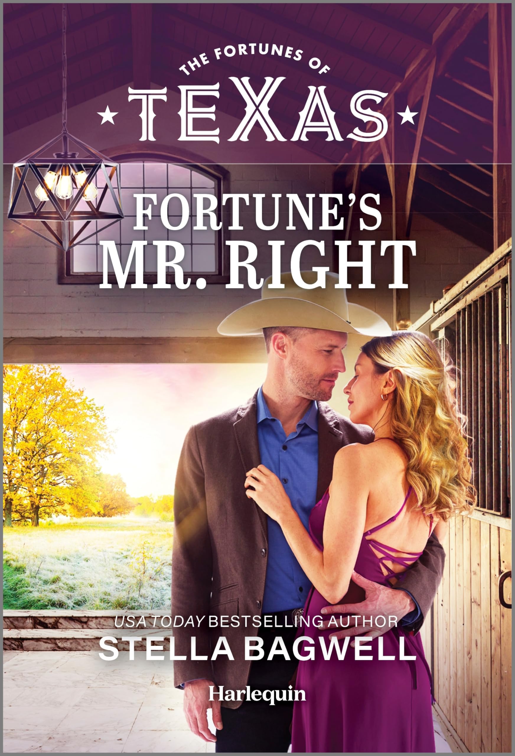 Fortune's Mr. Right (The Fortunes of Texas: Fortune's Hidden Treasures, 6)