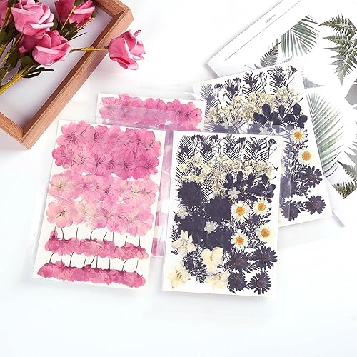 Miniatura 7 de 48 piezas de flores secas prensadas naturales de flor de cerezo para decoración de pasteles, flores secas reales para la fabricación de joyas de