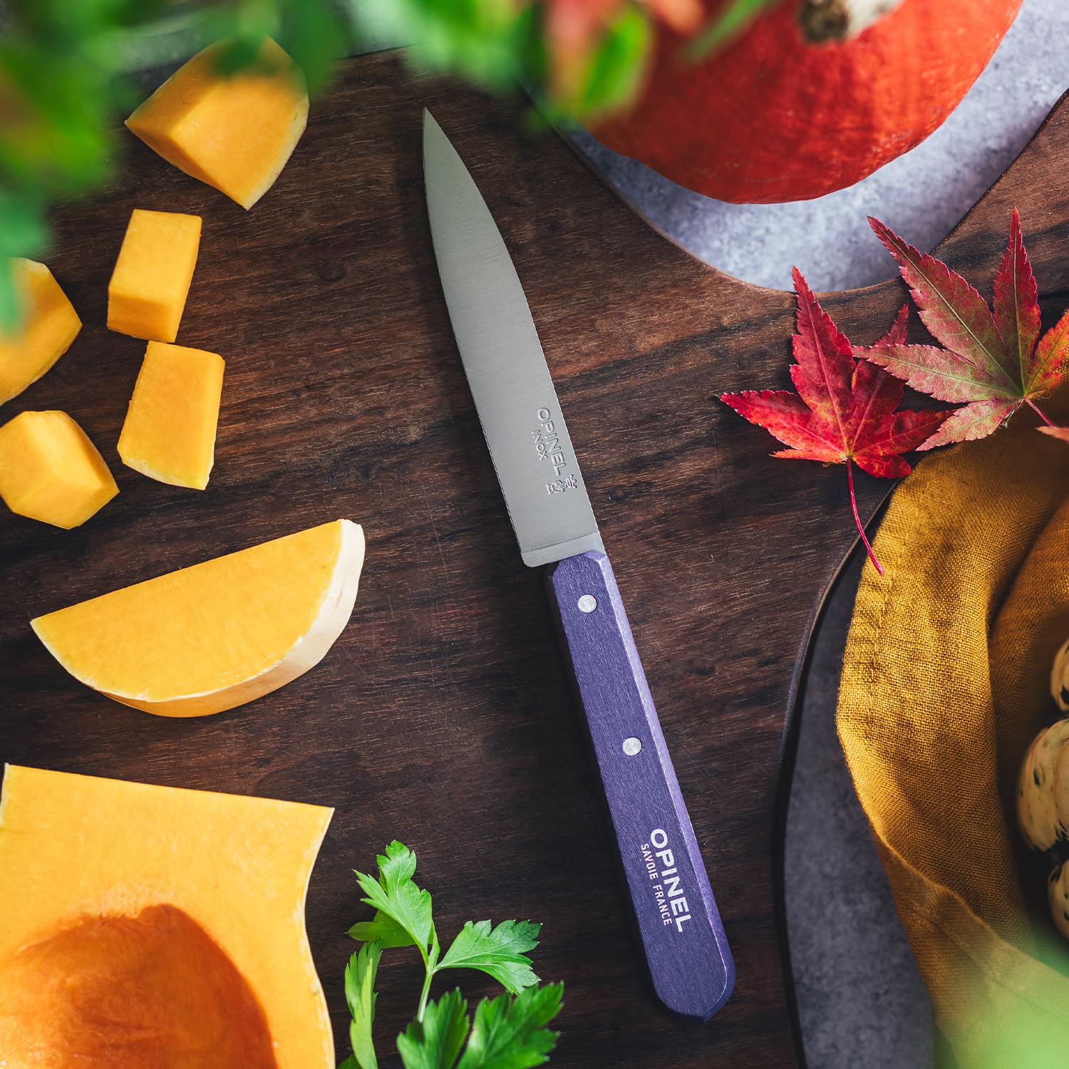 Opinel - Set mit 4 Gemüsemessern in Landschaftsfarbe N112. OPINEL