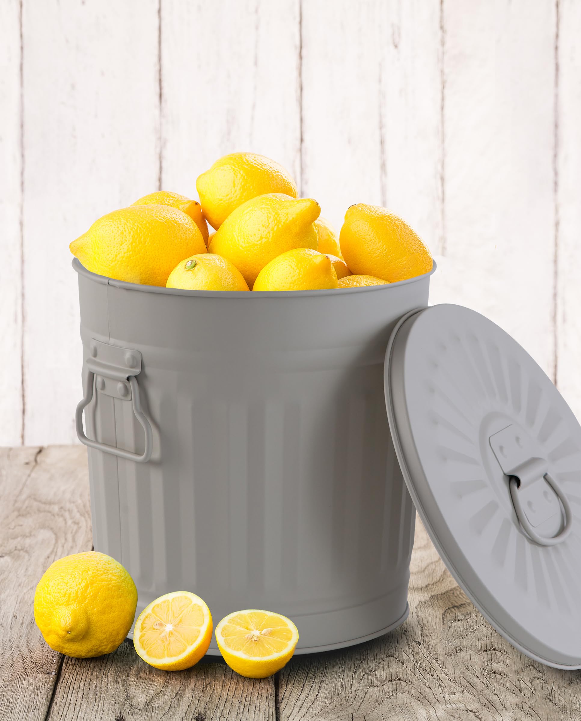 Retrodesign Mülleimer mit Deckel Grau 21,5 cm 7 Liter