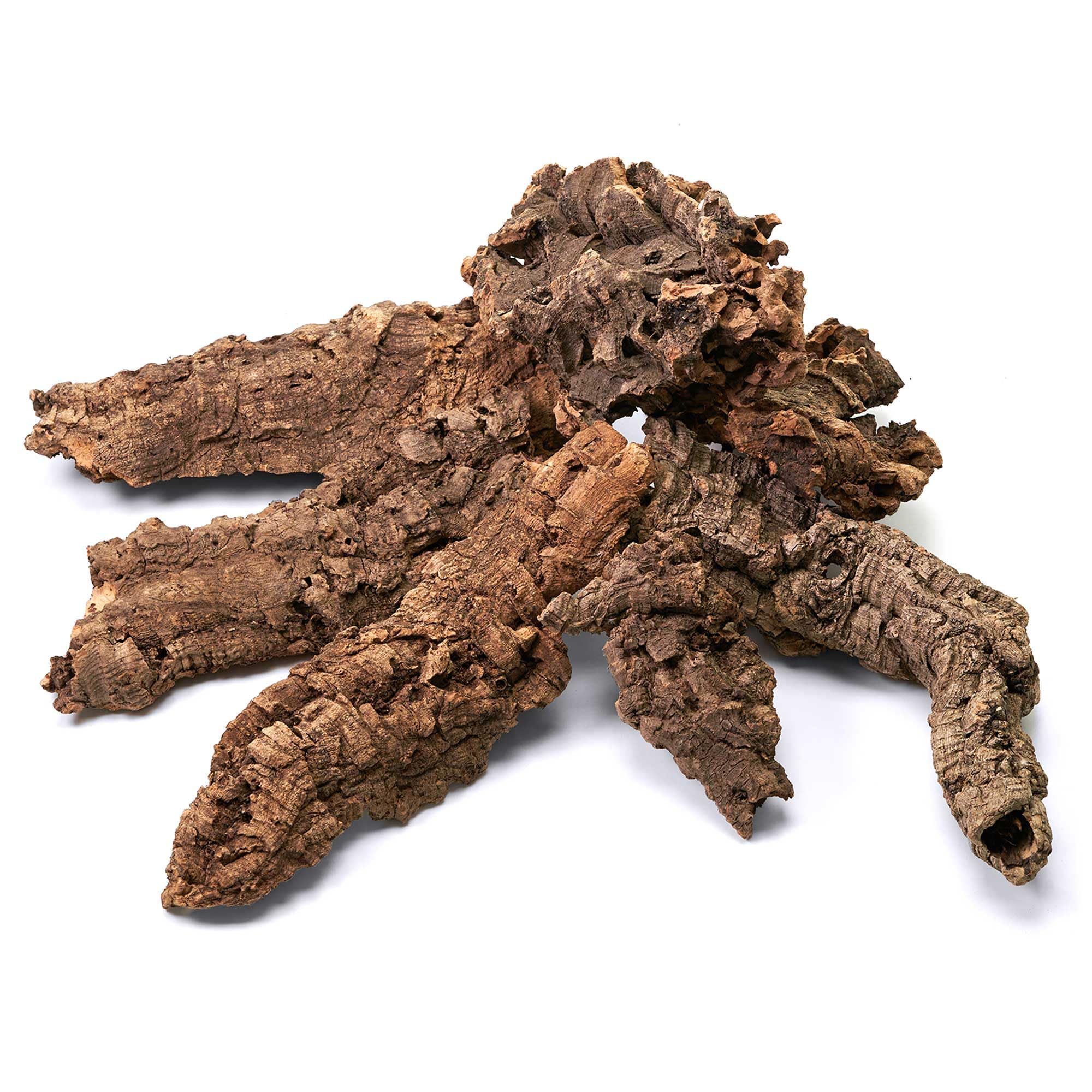Naturkorkstücke für Terrarium & Paludarium | Unbehandelte Korkrinde 5-20cm | Dekoration & Basteln - 1000g