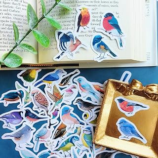 46pcs Colorful Bird Sticker Set_Decorative Assorted Bird Stickers, Journal Stickers, Planner Stickers, Scrapbooking, Art Craft, Envelope Seal, Gift Package, Diary, Album