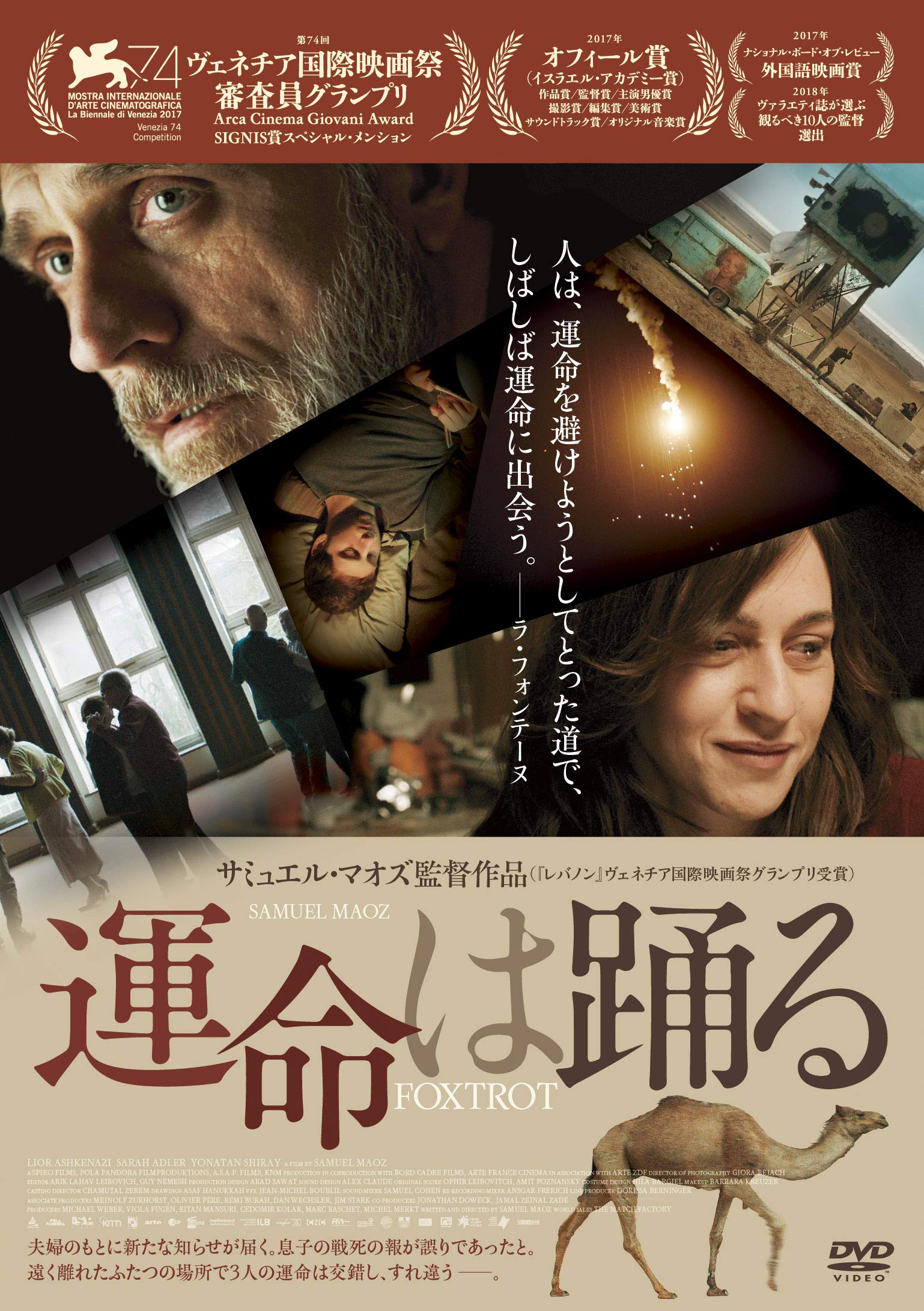 (未使用･未開封品)運命は踊る DVD 816RWwdbitL.jpg
