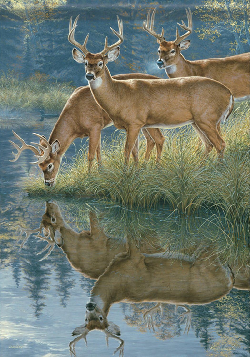 Autumn Fall Scenic Whitetail Deer 28" x 40" Double Sided 28" x 40" Decorative Porch House Flag