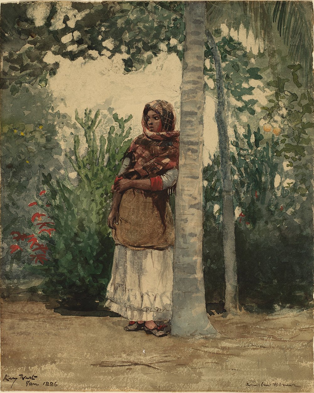 Winslow Homer Under a Palm Tree affiche d'art mat de qualité musée pour salon