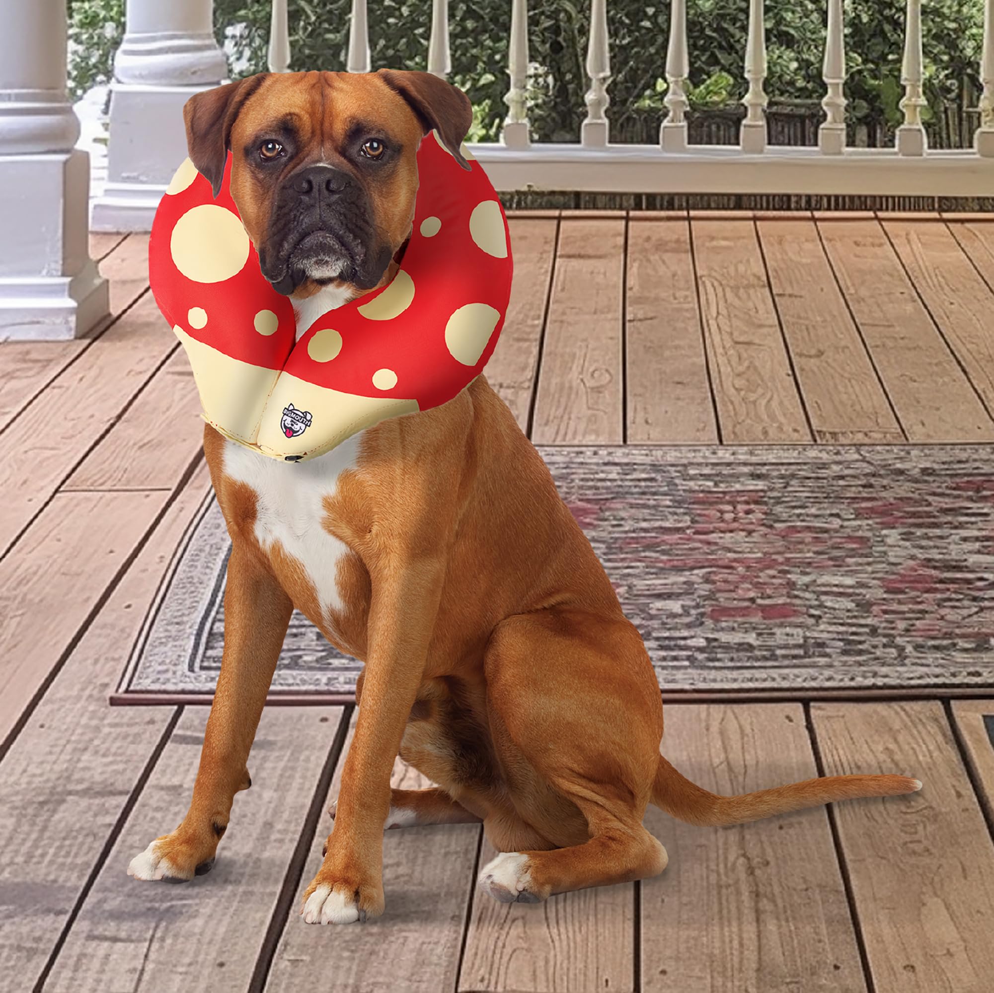 BigMouth Inc - Collare gonfiabile per il recupero del cane, comodo cono di ricambio per la chirurgia degli animali domestici, collari protettivi per prevenire leccare e mordere - Large