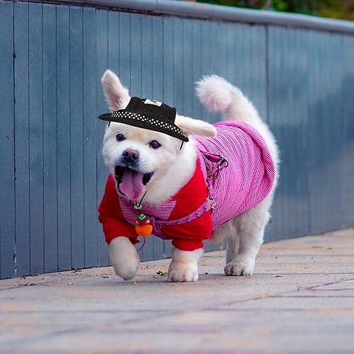 Miniatura 6 de YAODHAOD Gorra de princesa de ala redonda para mascotas, gorra de protección solar porosa transpirable con agujeros para las orejas y correa