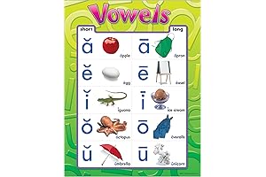 Trend Vowel Poster for Enhanced Literacy and Classroom Decor