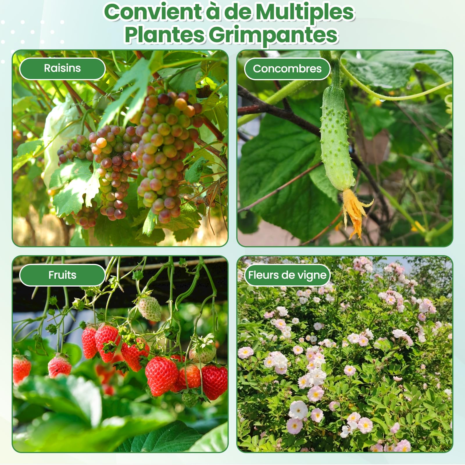 COSTWAY Arche de Jardin en Métal 230CM pour Plantes Grimpantes, Treillis pour Concombres Revêtu PE pour Vignes/Légumes/Fleurs, Décoration pour Commémoration Fête d'anniversaire, Noir