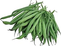 Vista 1 de Burpee - Semillas de frijol sin hebras Green Pod Bush, 4 onzas de semillas
