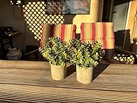 Review Image by Mrs. "K"