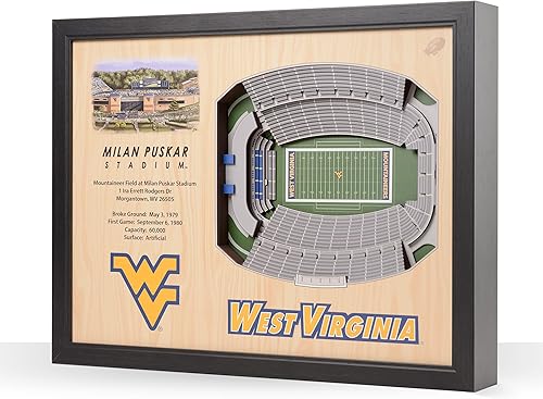 Miniatura 39 de YouTheFan NCAA Arte de Pared StadiumView de 25 Capas