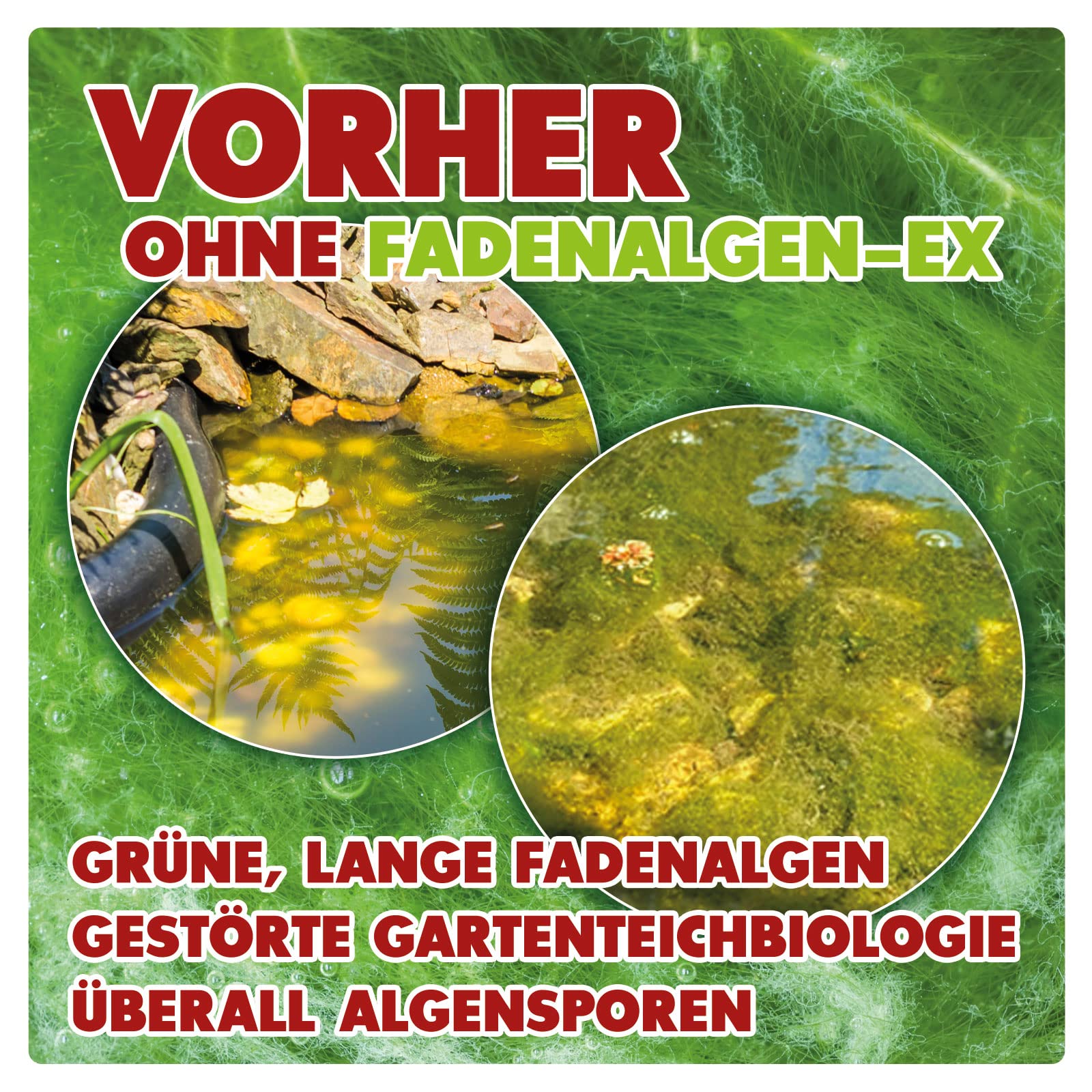 AQUALITY Gartenteich Fadenalgen-EX Flüssig (Flüssiger Fadenalgenvernichter, Algenmittel, Algenentferner. Löst Sich schnell im Teich auf), Inhalt:10 Liter