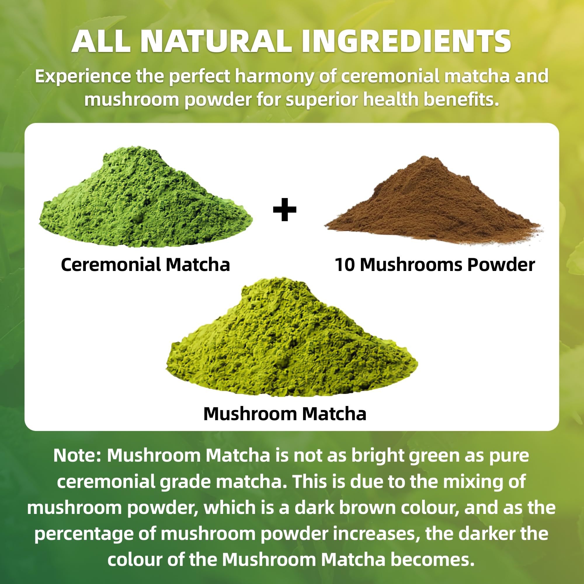 Mushroom Matcha 10 Superfood Mushroom Powder Blend with Japanese Ceremonial Grade Matcha Mushroom Coffee Alternative for Energy Focus — view 7