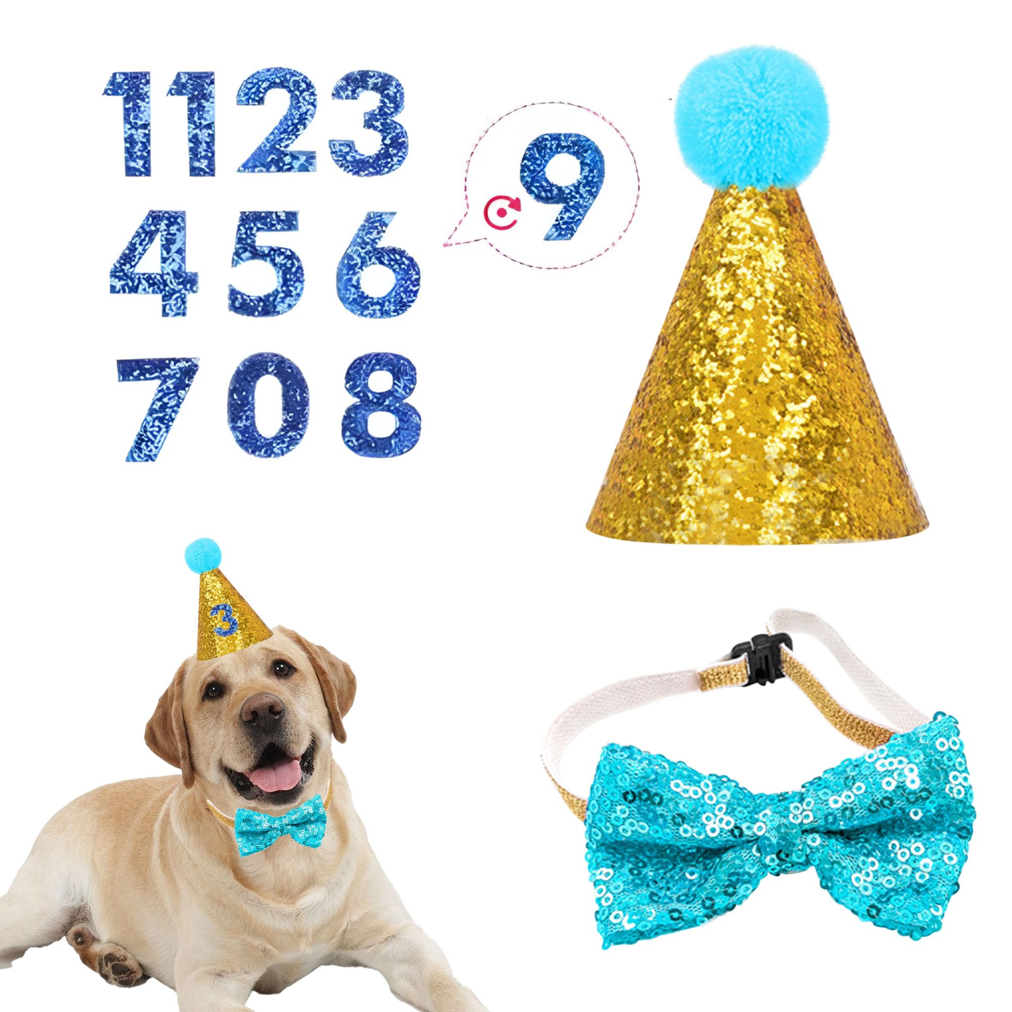 JazSwirl Dog Birthday Hat & Bow Tie Set