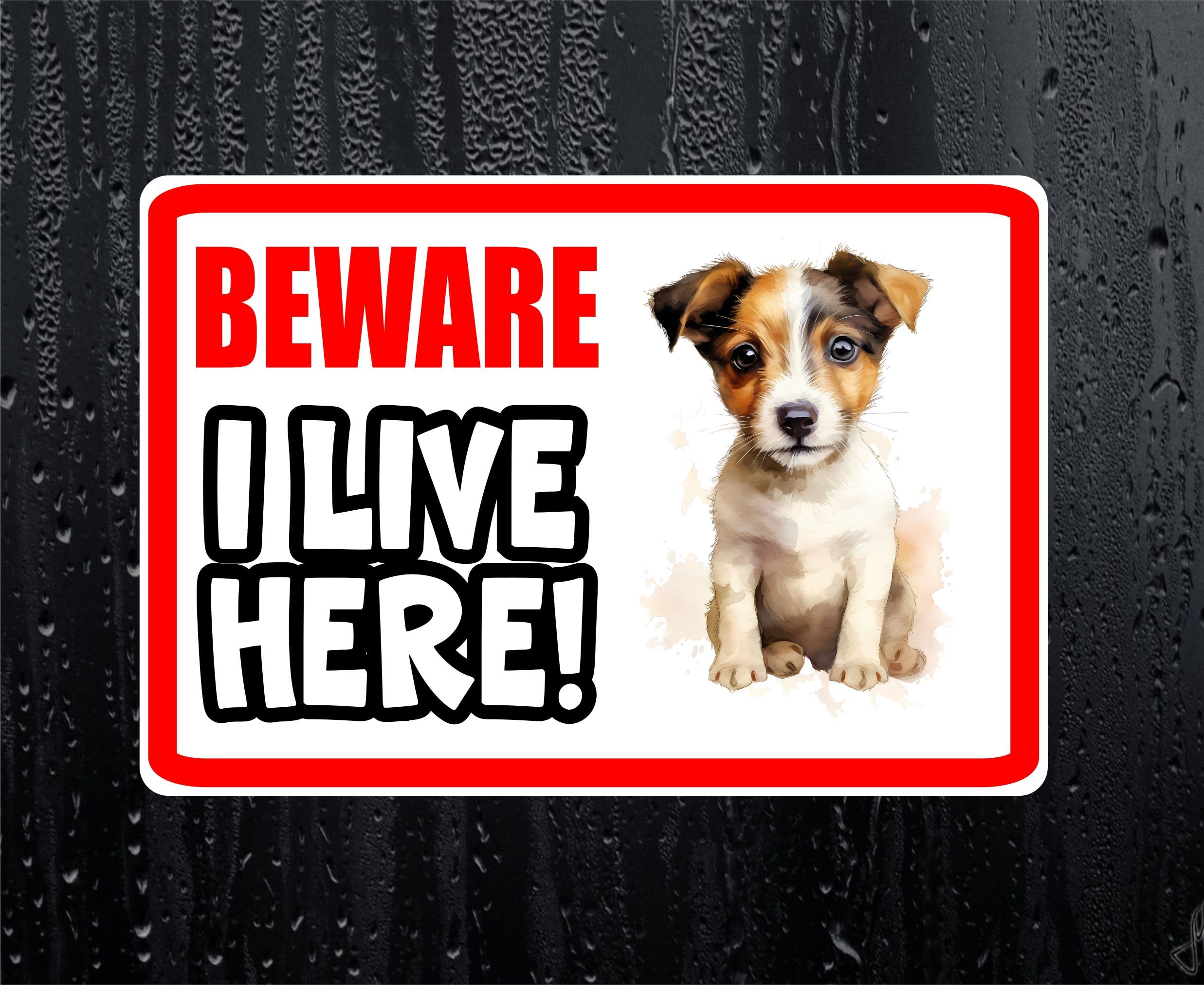 Decalarama White Jack Russell Sticker Beware I Live Here House Home Window Door Porch Decal