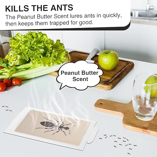 Miniatura 3 de Qualirey Trampas para hormigas para interiores, con aroma a mantequilla de maní mejorada, 10 piezas más grandes para hormigas, araña, ciempiés para