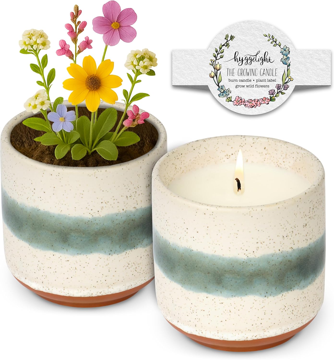 Sweet And Fun Growing Candle - Windflower Sent (Under $40)