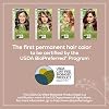 Naturtint permanent hair colour.