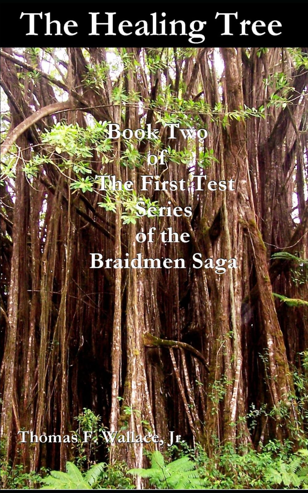 The Healing Tree: Book Two of The First Test series of the Braidmen Saga