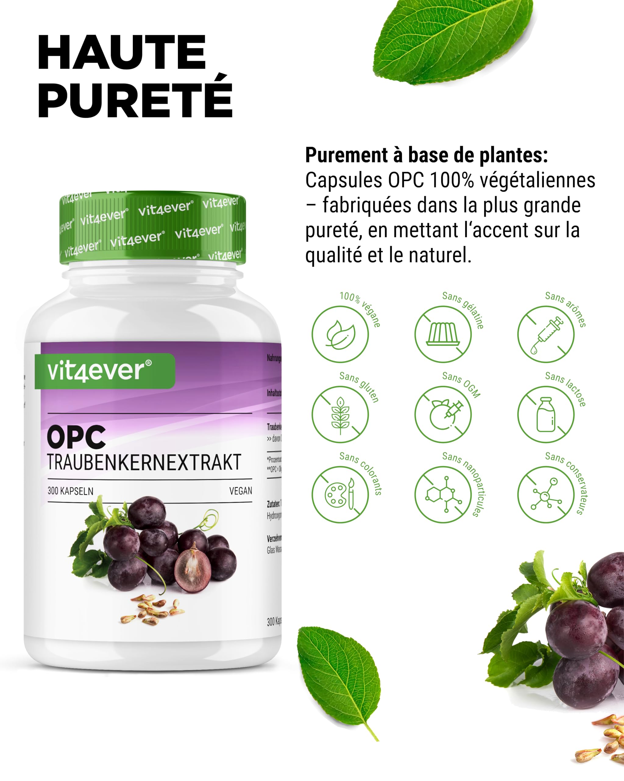 vit4ever OPC Extrait de Pépins de Raisin – 300 capsules – 1000 mg d’Extrait avec 700 mg d’OPC – Teneur la Plus Élevée selon HPLC – Issu de Raisins Européens – Végane – Hautement Dosé