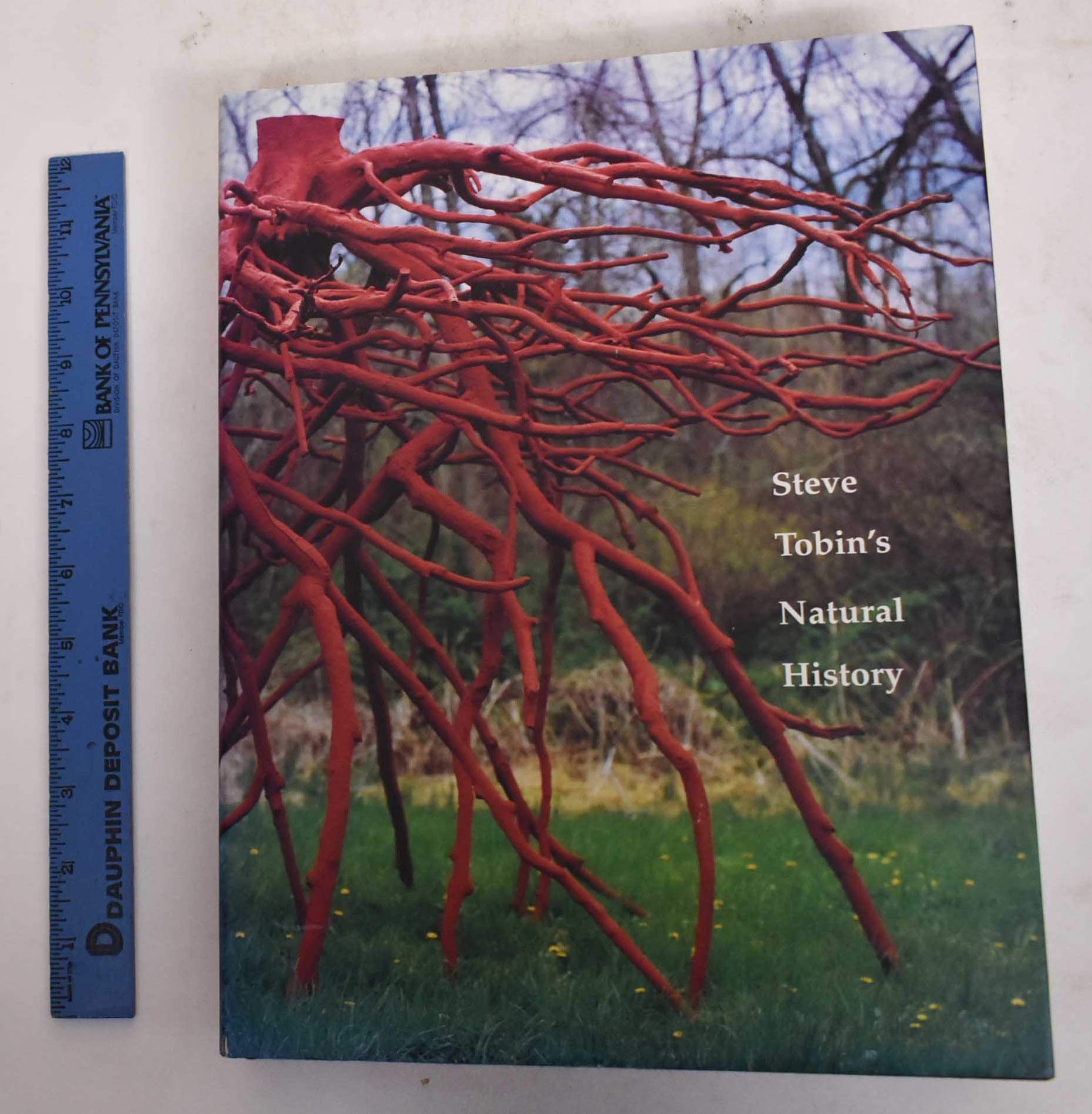 Steve Tobin's Natural History